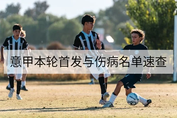 意甲本轮首发与伤病名单速查